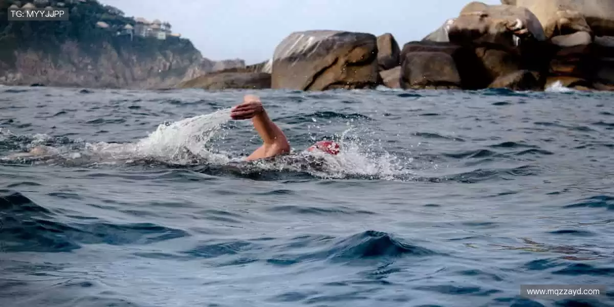 🏀 体育社区，球迷家园！分享你的激情，结交同好👥💬